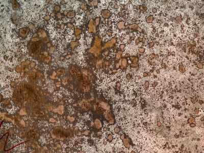 Professional mold remediation services in Des Moines